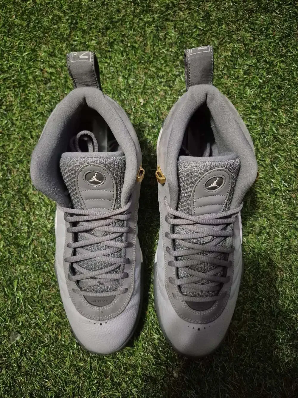 Jordan jumpman pro